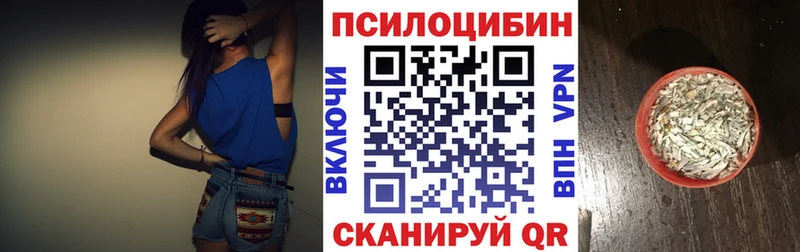 Псилоцибиновые грибы Cubensis  закладки  Мезень 